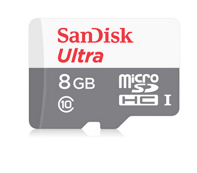 microSDHC8G SanDisk
